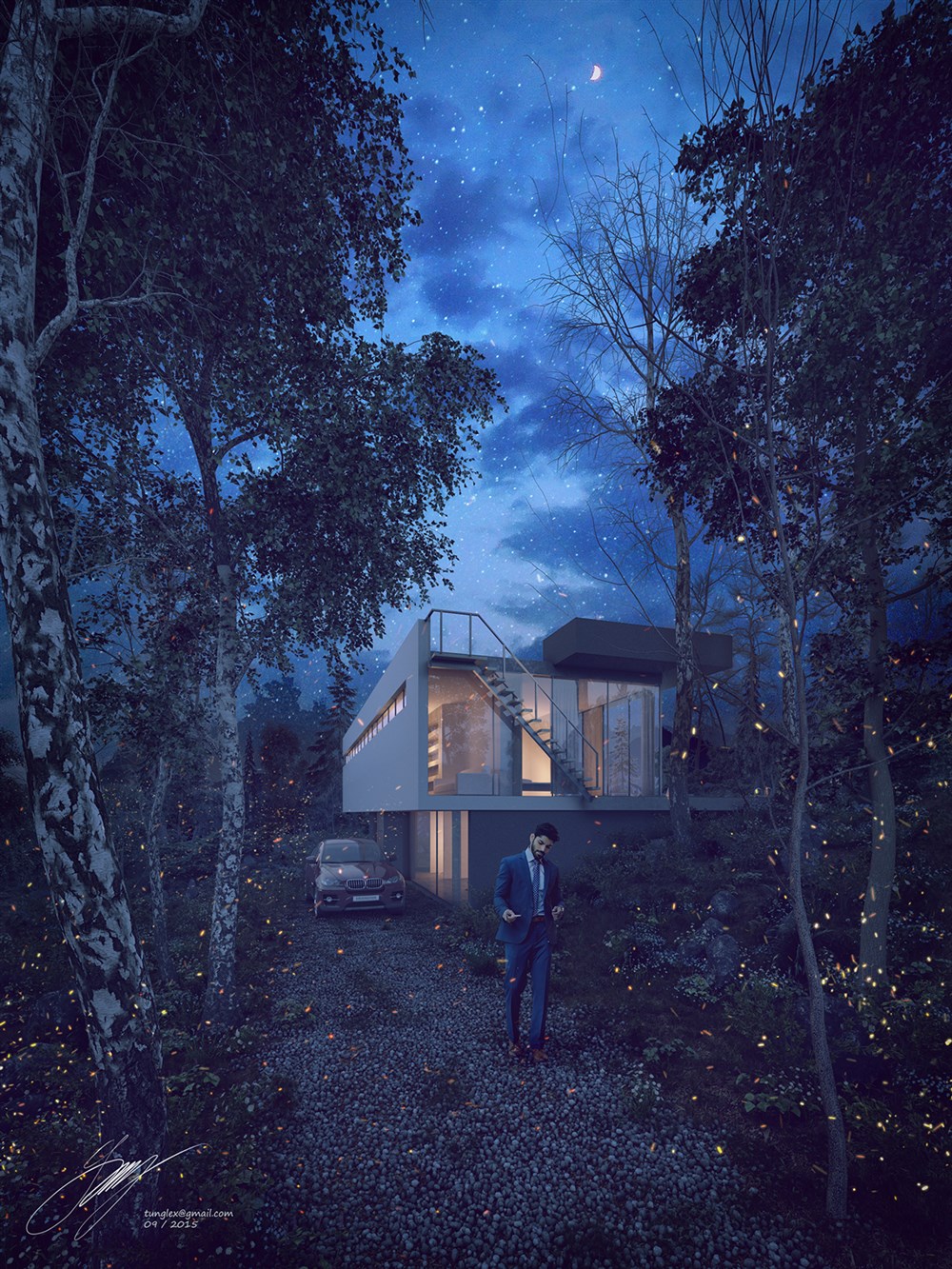 Flowers, Fireflies and stars